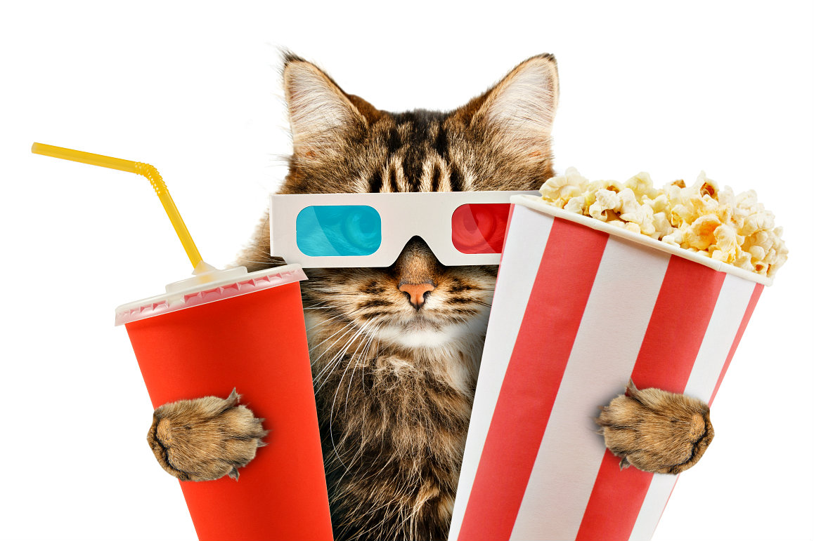 Watch Your Movie: The Global Hub of Short-Form Video Content